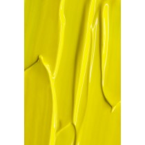 GEL PAINT ANDREIA NEON YELLOW 4ML