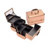 Maletín de maquillaje Rose Diamond, producto profesional para almacenar y transportar maquillaje.