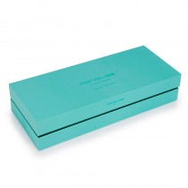 Set plancha Corioliss C1 Mint Green más cepillo paddle, aparatología de peluquería avanzada.