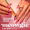 Uñas sofisticadas y modernas con el efecto ojo de gato de Andreia.