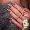 Color FE3 de Andreia: esmalte semipermanente topo glitter con efecto Cat Eye.