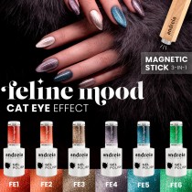 Conjunto de 6 esmaltes Andreia efecto ojo de gato, ideales para uñas creativas.