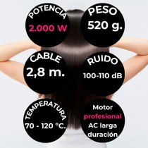 Secador profesional Spirit, diseño ergonómico y acabado resistente